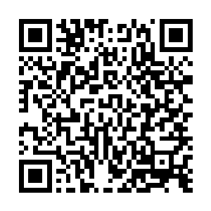 她再把之前早就准备好的青霉素药丸拿出来救难民的疫病二维码生成