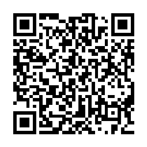 她几乎就没想着可以活着回去的……现在只要多拖延一刻时间二维码生成