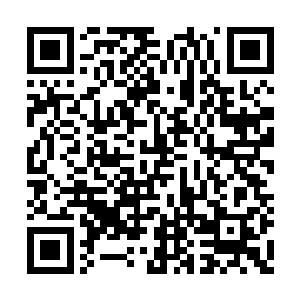 她几乎是拉着丁长生的手臂奔向路边的小树林的二维码生成