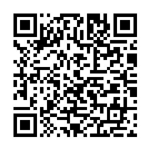 她几乎瞬间就预见了她的袖子被毒液侵蚀出一个大洞二维码生成