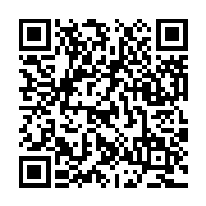 她出神地望着书皮已经忘了最初为什么要买这本书二维码生成