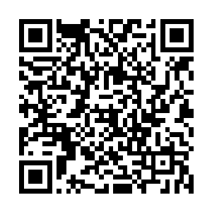 她则是在第二年考上了中央美术学院的国画系研究生班二维码生成