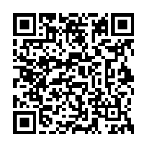 她刚一回到科室恰好碰见从医办室出来的朝迪娜二维码生成