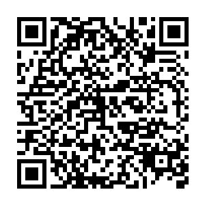 她刚才还在他的须弥境里跟他大呼小叫……想来她也是很有勇气的人呢二维码生成