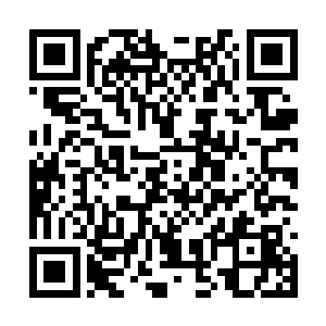 她利用自己娇小的身躯在巨大的灵兽身边窜来窜去二维码生成