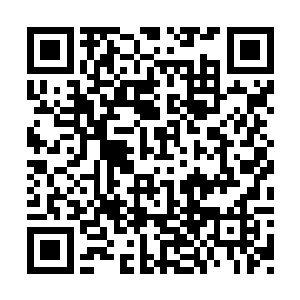 她利用龙族变形术将自己变成了一只跳跃的松鼠二维码生成