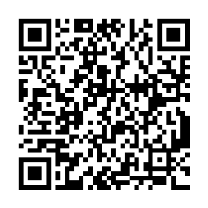 她到了侯爵就能汲取各种兵器中的兵器精华凝练血兵二维码生成