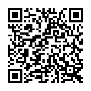 她到现在还搞不清楚赵纯良来这里玩一通是为了啥二维码生成