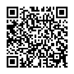 她十人之中也是唯一一个武术和精神力都练到了极致的人二维码生成