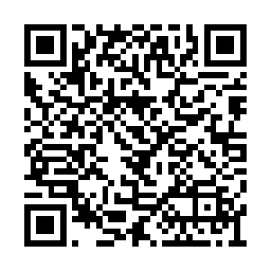 她却似乎并没有把自己的目光放到过韩若诗身上二维码生成