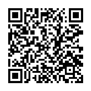 她却凭着惊人的毅力完成了高难度的演奏并获得冠军二维码生成