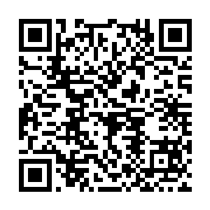 她却想拿着对方当挡箭牌……本以为绝无殇会放弃二维码生成