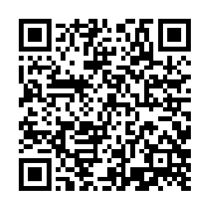 她压根就不敢想象人类的科技已经进不到如此地步了二维码生成