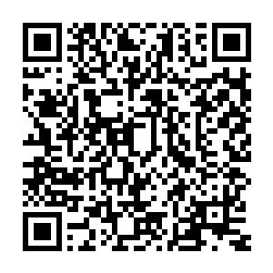 她压根没有出来看一眼的意思――敢在魏侯京邸发这么大脾气的人二维码生成