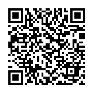 她原本是拿了一千两百块灵石来作为手工费给顾律的二维码生成