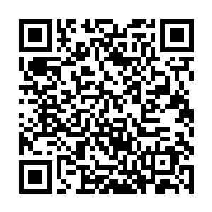 她原本还以为雨果说要现场演唱只是开开玩笑的罢了二维码生成