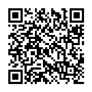 她去那里是为了去拿她大舅李均安帮她制作的蜂箱二维码生成