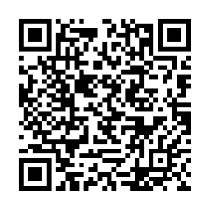 她又不知道该如何去安慰一下眼眶中蒙上水雾的哥哥二维码生成