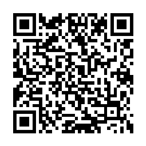 她又为何能够误差不大地潜伏在北莽大纛不远处二维码生成