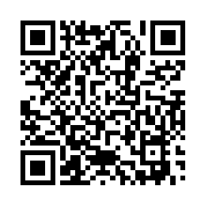 她又像一只撒娇的猫咪一样投入我怀里二维码生成