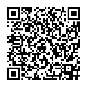 她又哪里真会因为偶然遇上了另外两个相识的女孩就生卢向东的气二维码生成