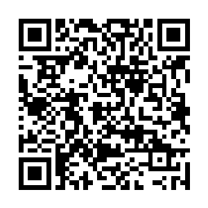 她又在其中另外两张照片里找到了自己想找的内容二维码生成