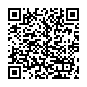 她又怎么会想着要帮晏季文夺得那些本就该属于他的东西二维码生成