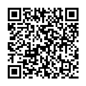 她又是惊又是惧的小心翼翼的探出了头去察看才出现的火光二维码生成