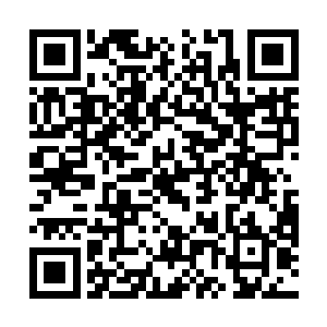 她又被看出是至纯圣女于是就将她带入白巫族族长那里二维码生成