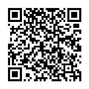 她又说让您们把她的尸骨拼接起来放到后山上的石台上二维码生成