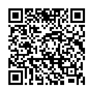 她反而将容易当成了那种毫无原则巴结女孩子的花花公子二维码生成