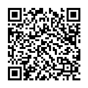 她发现在这个芥子空间内自己的掌控力又被压制了二维码生成