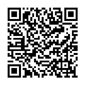 她发现自己竟能听到龙英杰他们在远处的谈话声二维码生成