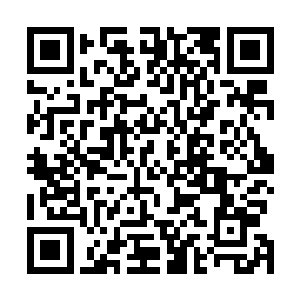 她发现跟失去龙野相比自己经受的那些痛苦都算不得什么二维码生成