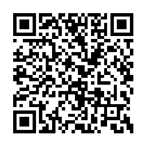 她发现这个层次的丹道传承对于她来说过于简单二维码生成