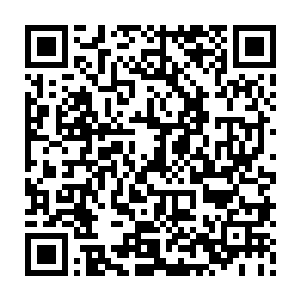 她发现那个只剩下二十米左右长的混沌兽逃跑的方向正是那个盘旋的图案二维码生成