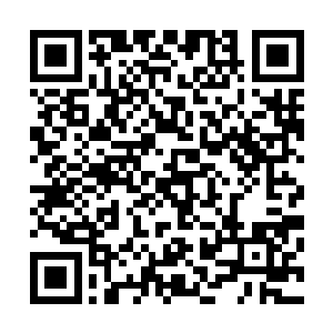 她取了一管特殊的手术器械--那器械外表是根尖尖的针管二维码生成
