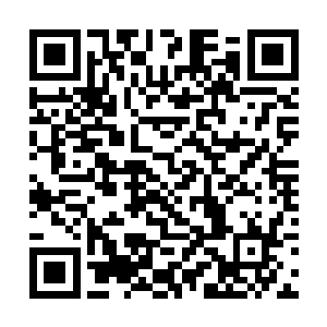 她只不过不想看到你一个人在这个世上承受痛苦而已二维码生成
