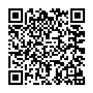 她只忽然抬头看向天空中正打量着他们的流墨墨一行人二维码生成