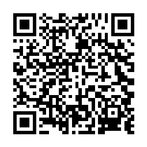 她只怕连修真十一境中的第一大境界筑基期都还没到呢二维码生成