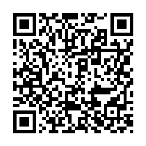她只感觉生命力在从她残破的身体之中迅速流逝二维码生成
