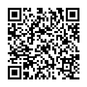 她只担心着闻老夫人能不能受得住这次事情的刺激二维码生成