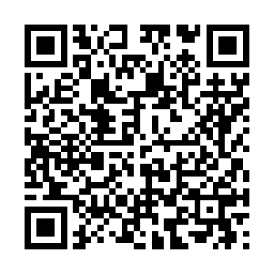 她只是一个想要在主神空间活下去的低级玩家而已二维码生成