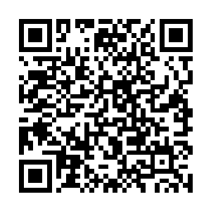 她只是单纯的对自己可能会失去这样一个机会而不甘二维码生成