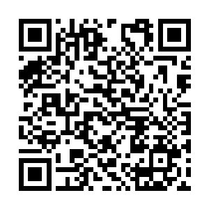 她只是得了吩咐一会儿要抱小少爷出来给大家看看二维码生成