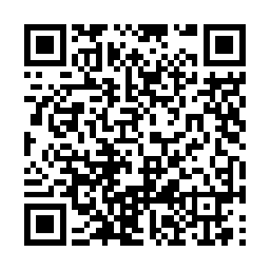她只是感觉到一个极为亲切的气息一直在她的身旁二维码生成