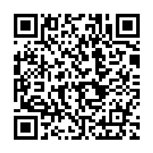 她只是提供了一种可能性……毕竟我们都想活着不是吗二维码生成