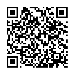 她只是真的想不明白自己身上到底有什么值得可以利用的二维码生成