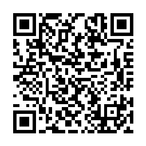 她只知道上一次陌路离殇那个蠢货放了私生子进去二维码生成