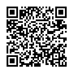 她只能释放元气长虹去吸附第十一块经络石平台二维码生成